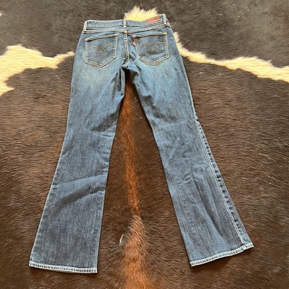 Levi - Picture 2 of 4